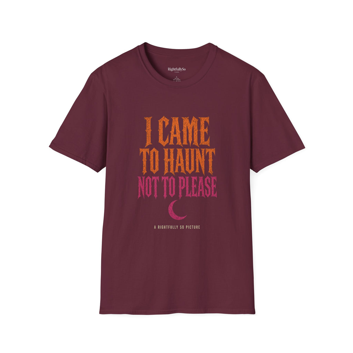 I Came to Haunt Tee