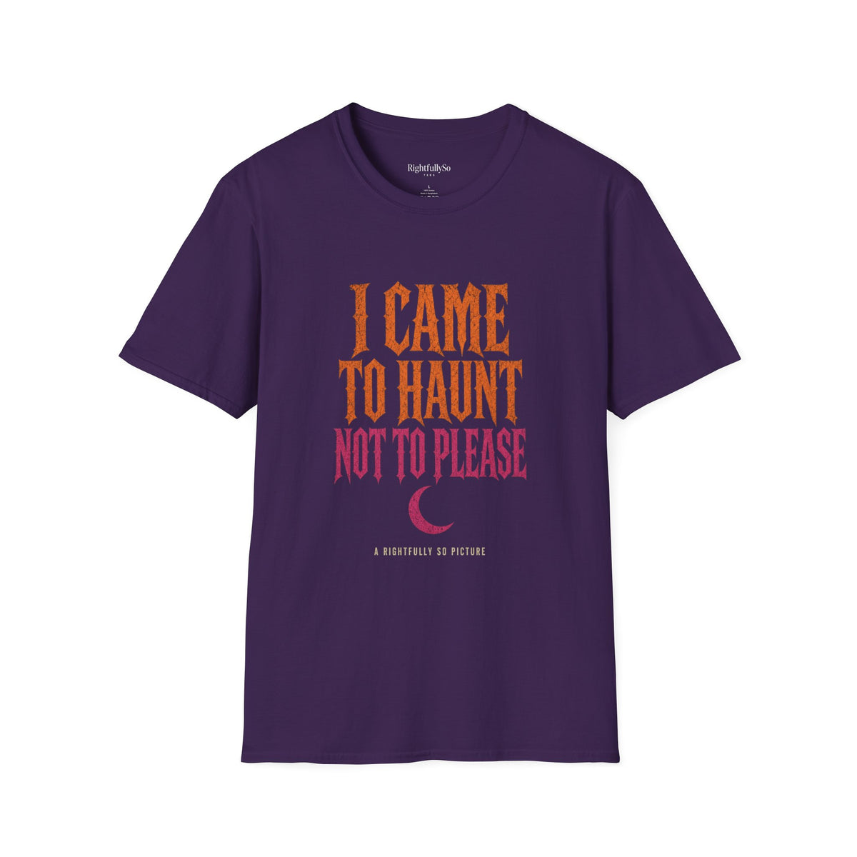 I Came to Haunt Tee